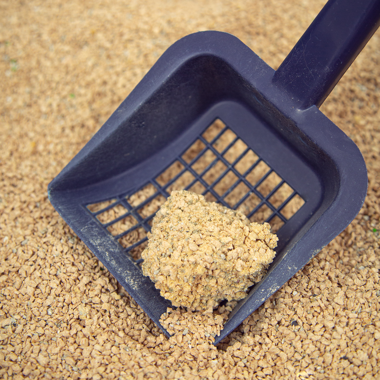 COSYCAT BIO-Klumpstreu