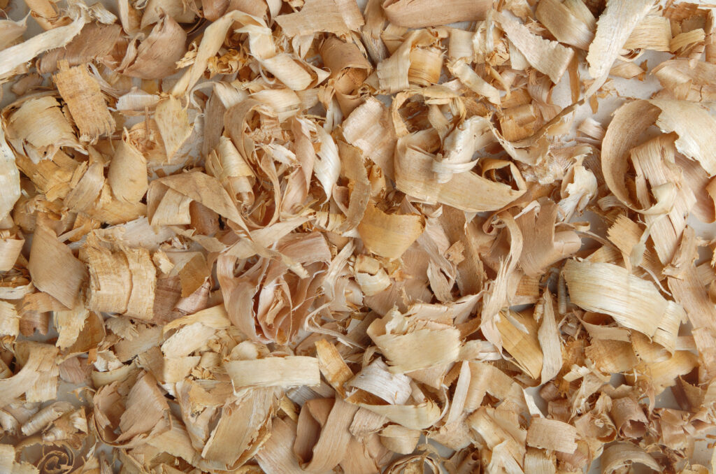 Close-up of light wood shavings scattered across a surface, beige and tan curls and strips on display.